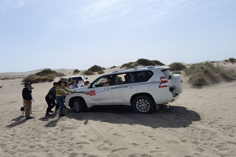 疾驰宝马娱乐(中国游)有限公司官网