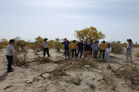 疾驰宝马娱乐(中国游)有限公司官网