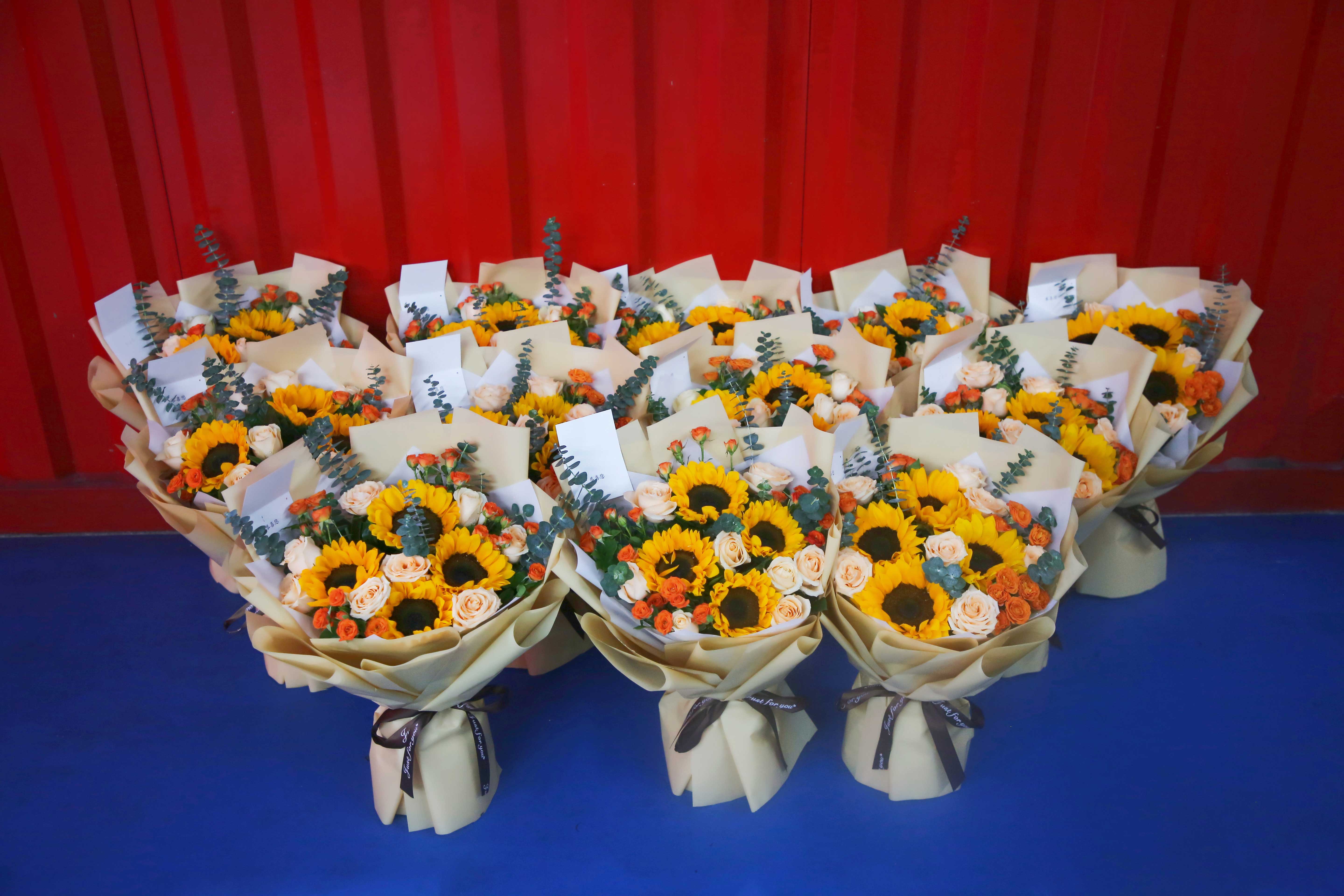 疾驰宝马娱乐(中国游)有限公司官网