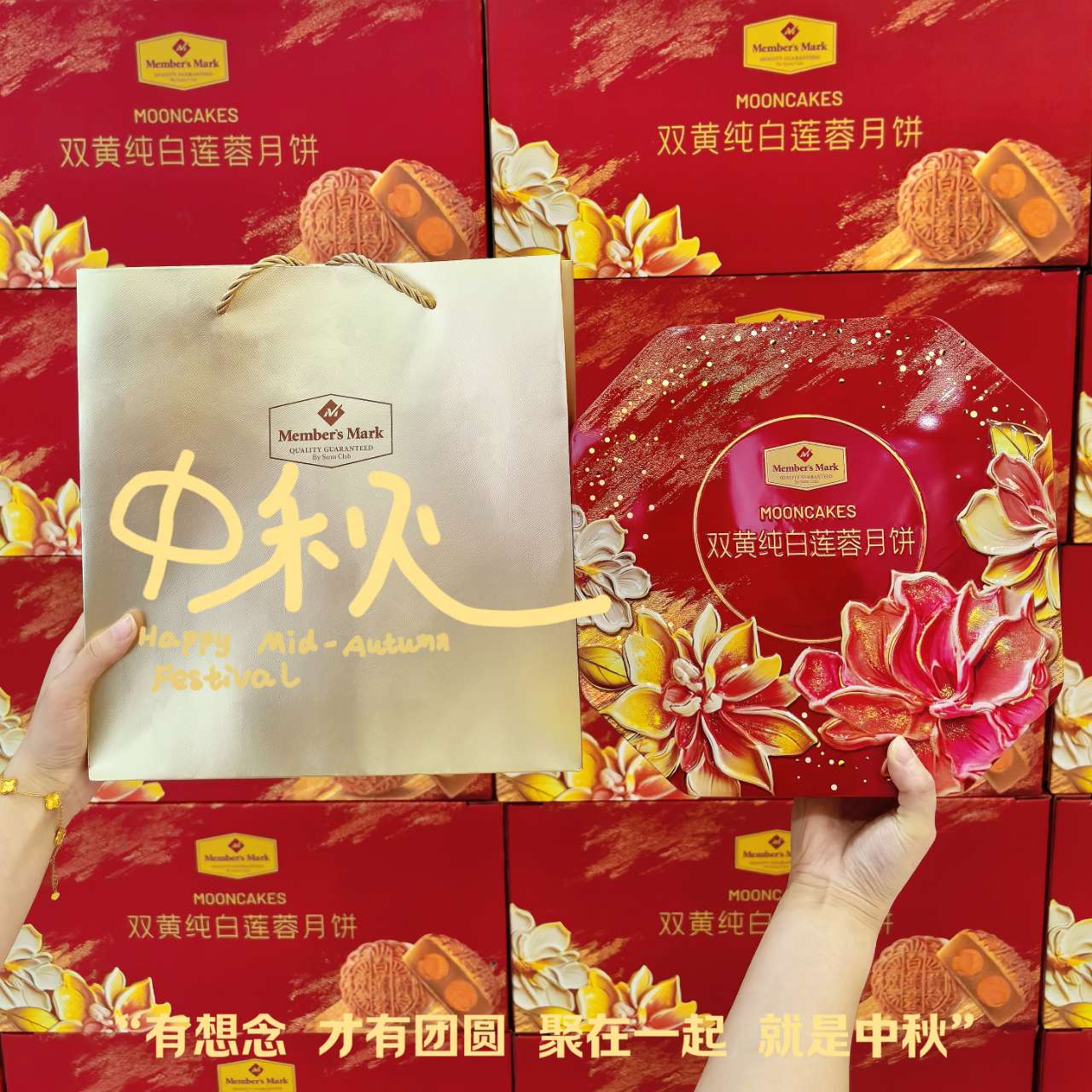 疾驰宝马娱乐(中国游)有限公司官网